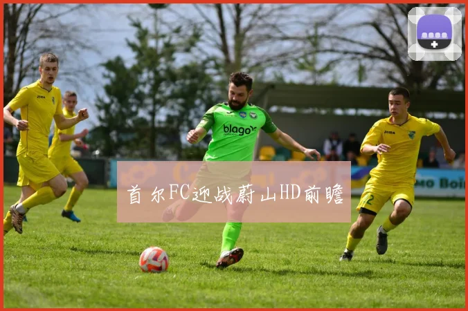 韦德体育官方网站 - 首尔FC迎战蔚山HD前瞻