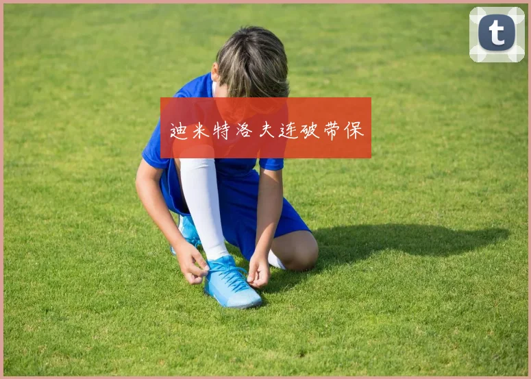 韦德体育官方网站 - 迪米特洛夫连破带保
