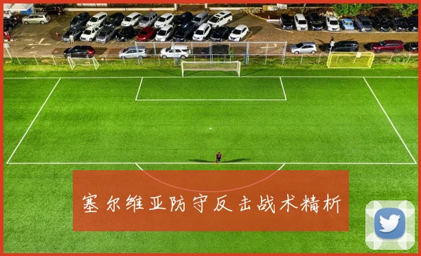 韦德体育官方网站 - 塞尔维亚防守反击战术精析