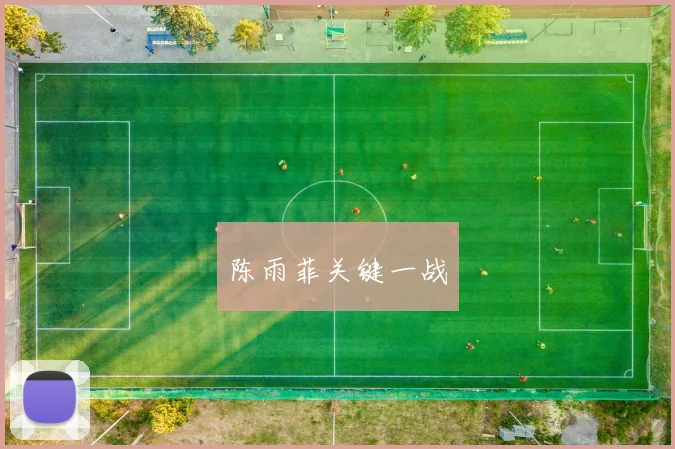 韦德体育官方网站 - 陈雨菲关键一战