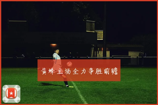 韦德体育官方网站 - 黄蜂主场全力争胜前瞻