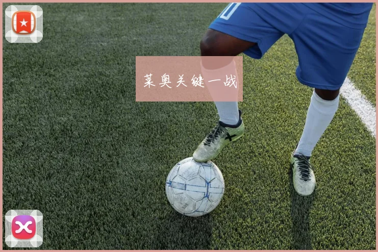 韦德体育官方网站 - 莱奥关键一战