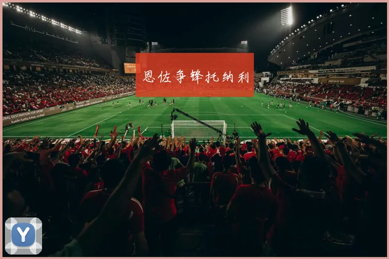 韦德体育官方网站 - 恩佐争锋托纳利