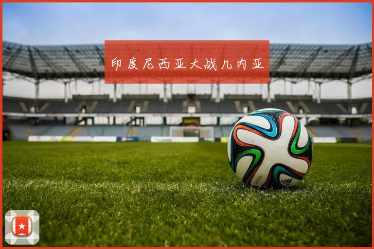韦德体育官方网站 - 印度尼西亚大战几内亚