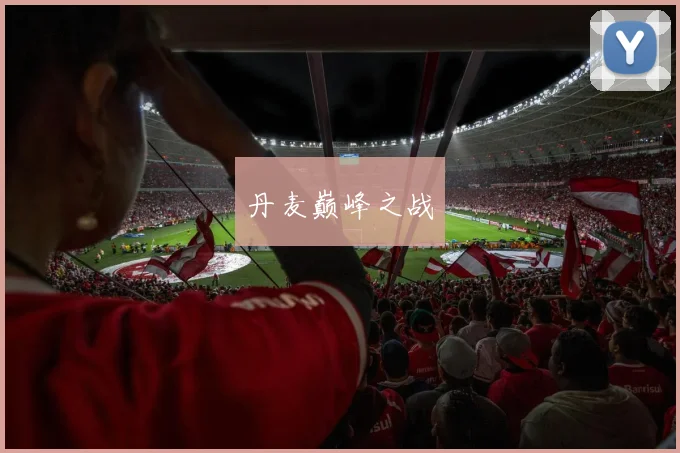 韦德体育官方网站 - 丹麦巅峰之战