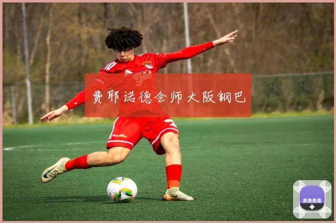 韦德体育官方网站 - 费耶诺德会师大阪钢巴
