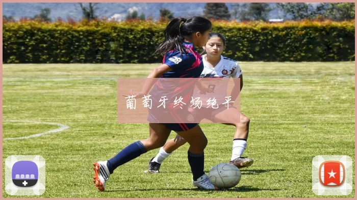 韦德体育官方网站 - 葡萄牙终场绝平