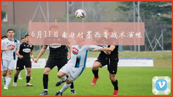 6月11日南非对墨西哥战术演练