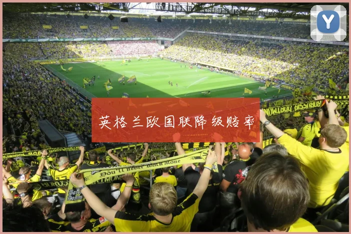 韦德体育官方网站 - 英格兰欧国联降级赔率