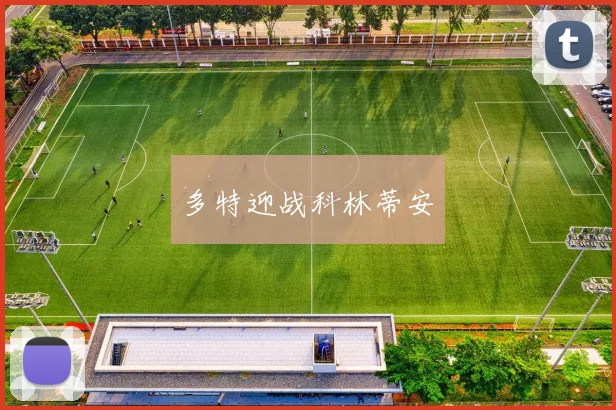 韦德体育官方网站 - 多特迎战科林蒂安