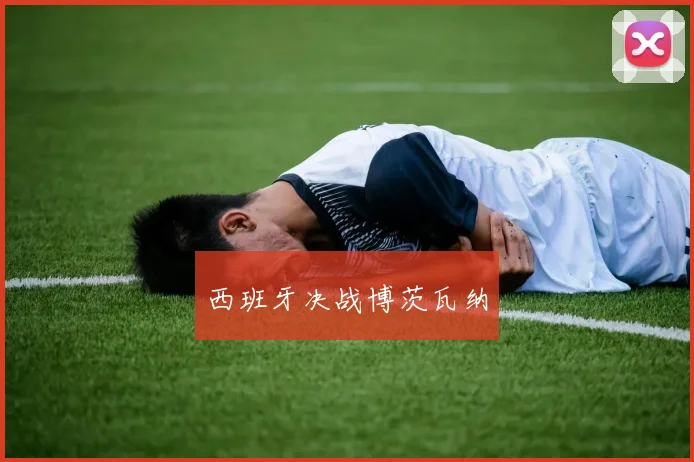 韦德体育官方网站 - 西班牙决战博茨瓦纳