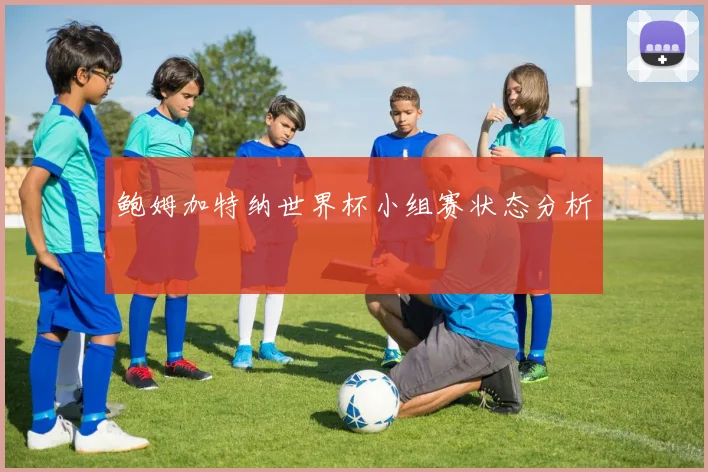 鲍姆加特纳世界杯小组赛状态分析