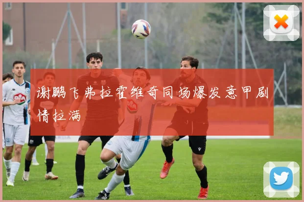 谢鹏飞弗拉霍维奇同场爆发意甲剧情拉满