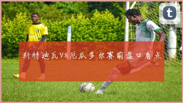 科特迪瓦vs厄瓜多尔赛前盘口看点