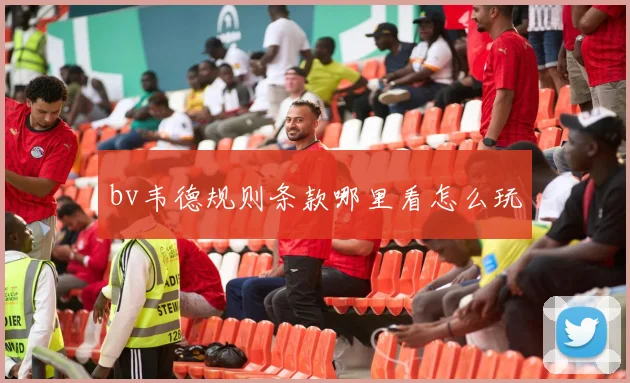 bv韦德规则条款哪里看怎么玩
