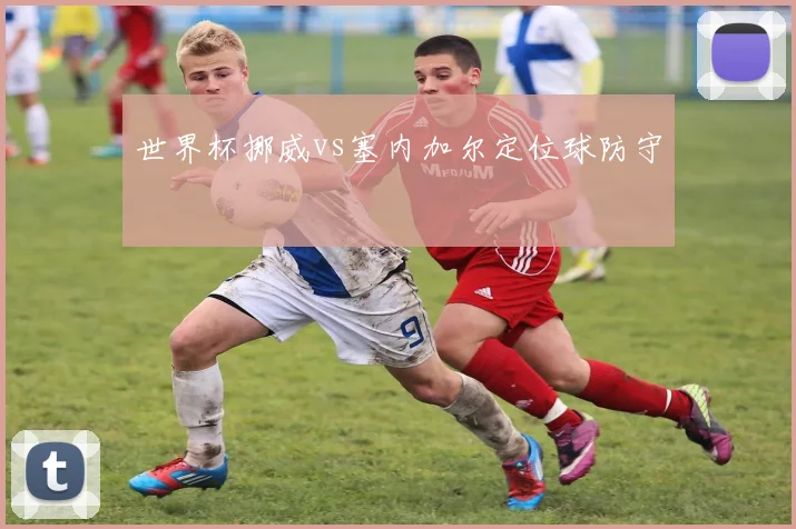 世界杯挪威vs塞内加尔定位球防守