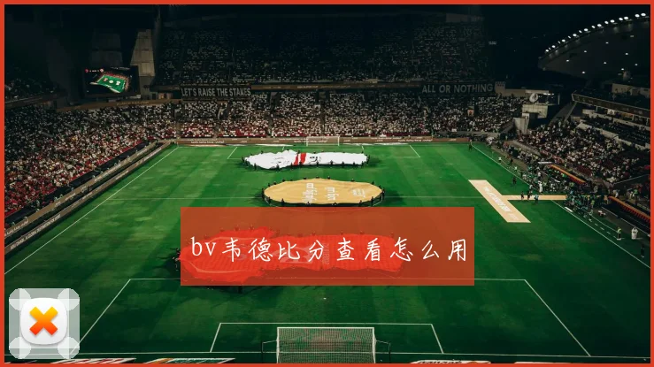 bv韦德比分查看怎么用